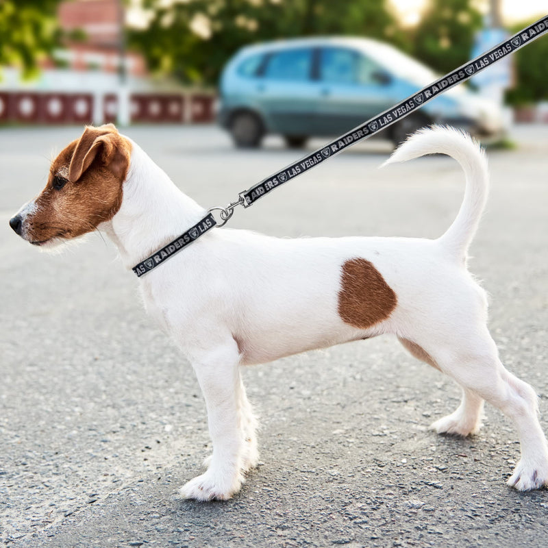 NFL PET Leash Las Vegas Raiders Dog Leash, Small Football Team Leash for Dogs & Cats. A Shiny & Colorful Cat Leash & Dog Leash Licensed by The NFL Team Color - PawsPlanet Australia