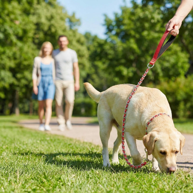 Chew Proof Metal Dog Leash with Built-in P-Chain Collar - 2FT/4FT for Small/Medium/Large Dogs (30-150lb), Anti-Bite Chain Link with Soft Padded Handle, 360° Rotating Clasp Red 4FT/ 120CM - PawsPlanet Australia