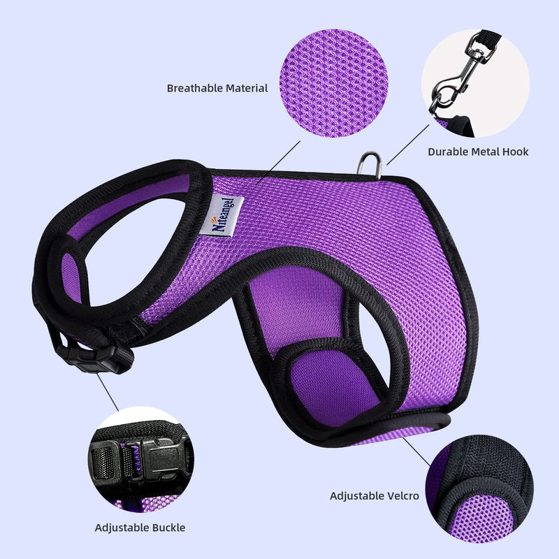 Niteangel Adjustable Soft Harness with Elastic Leash for Rabbits (M, Purple) M - PawsPlanet Australia