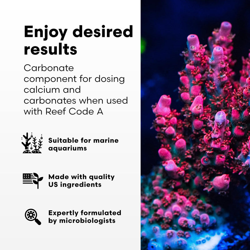 Brightwell Aquatics - Reef Code B - Balanced Calcium & Alkalinity System Water Conditioner - For All Saltwater Marine Fish & Reef Fish Tanks - Aquarium Water Treatments, 16.9 fl oz 500-ml - PawsPlanet Australia