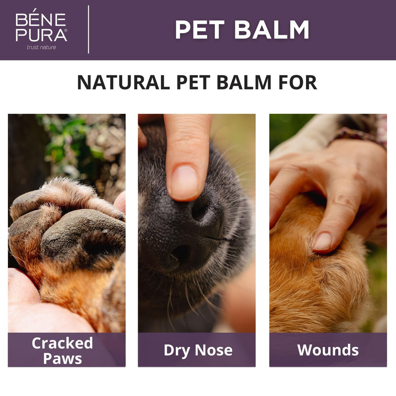 BenePura Dog Paw Balm 1.35 Fl. Oz - Natural Paw Balm for Dogs, Lick Safe and Unscented - Dog Balm for Paws and Nose, Cat Paw Balm, Puppy Paw Balm - Dog Nose Balm, Paw Moisturizer for Dogs - PawsPlanet Australia