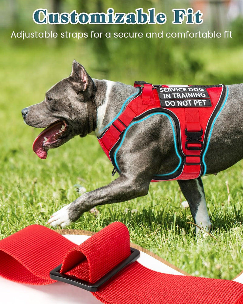 Service Dog in Training Vest, Reflective Do Not Pet Dog Harness with Handle and 6 Patches, Full Metal Buckles, for Medium Dogs Training Walking Small (20-45 lbs) Harness-Brave Red - PawsPlanet Australia