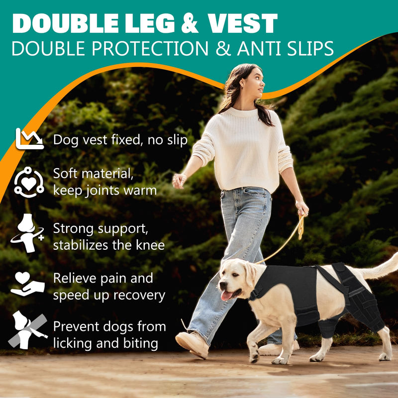 Dog Knee Brace Double Leg Support with Vest - Orthopedic Joint Stabilizer for ACL Tear, Arthritis, Patella Recovery - Adjustable Non-Slip Recovery Brace for Small Middle Large Dogs (Middle)