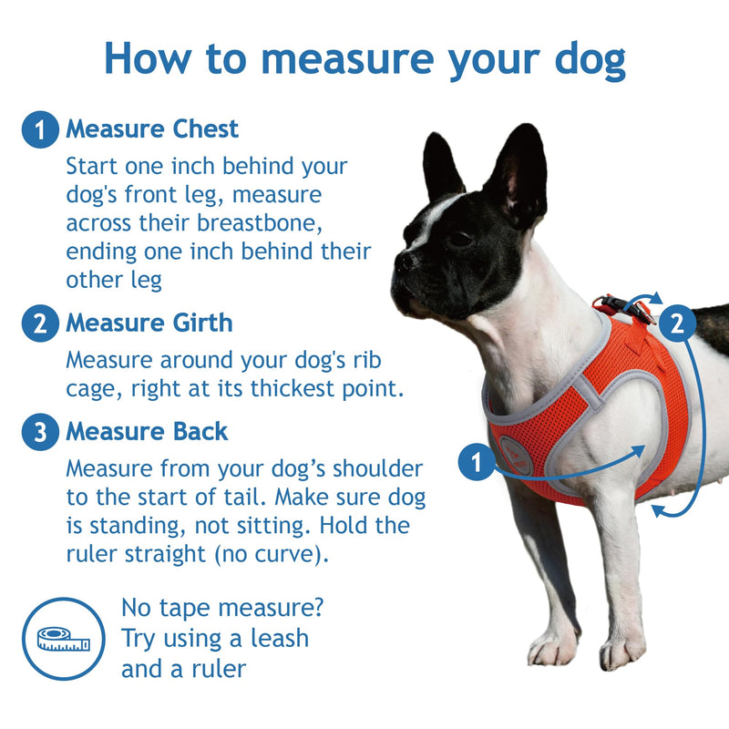 DOCO Dog Harness for Small Sized Dog - Athletica Adjustable, No Pull, No Choke, Puppy Vest Lightweight Air Mesh, Reflective, Puppy Essentials – Turquoise, X-Small (Chest 13.5"-14.", Weight 4–6 lbs) X Small (Chest: 13.5-14") - PawsPlanet Australia