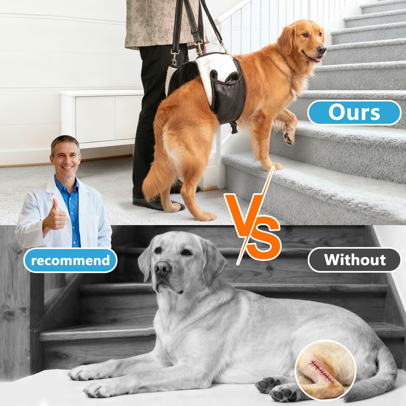 Dual-use Dog Lift Rehab Hareness Canine Sling for Large Pooch Rear Legs and Hip Support,Adjustable and Soft Brace Strap for After ACL Surgery, Helps Senior, Injured and Disabled K9. - PawsPlanet Australia