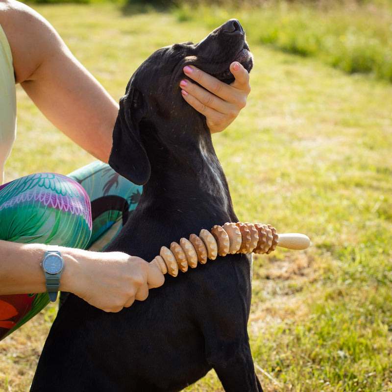 tuuli Wooden Massager Dog Cow Horse Massage Brush Pet Massage Brush