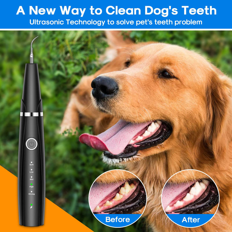 Ultrasonic Dog Teeth Cleaning Kit for Pet Teeth Cleaning, Dog Plaque Remover for Teeth, 5 Modes Dog Tartar Remover for Teeth Care to Remove Stains Calculus, 10 in 1 Pet Cleaner Toothbrush (Black) Black - PawsPlanet Australia