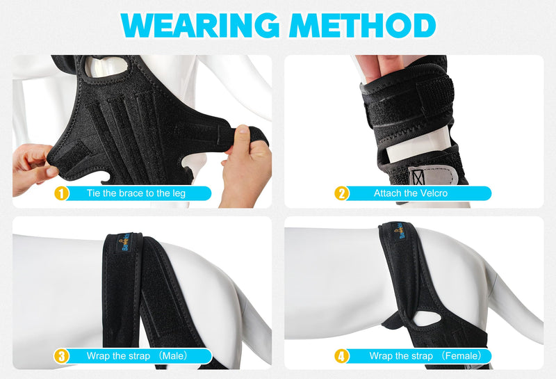 Dog Knee Brace for Torn ACL Hind Leg, Rear Leg Brace Support for Cruciate Ligament Injury, Joint Pain and Muscle Sore, Easy to Put On and Off Dog Braces for Back Leg L - PawsPlanet Australia