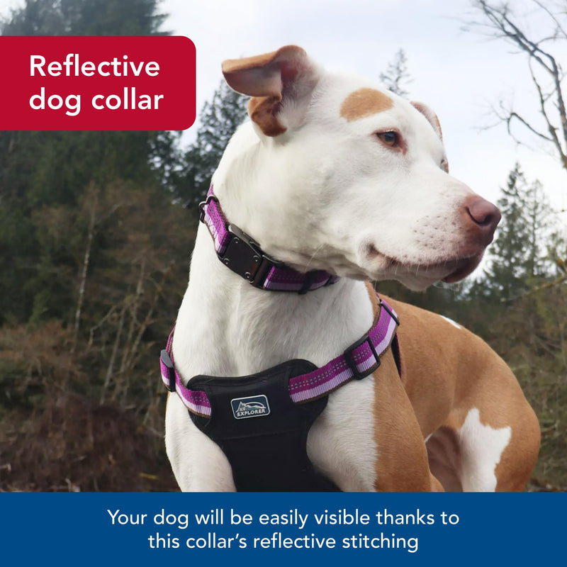 Coastal Pet K9 Explorer Reflective Adjustable Dog Collar - Comfortable Collar for The Outdoors - Durable, Lightweight Accessory with Side-Release Buckle - Orchid, 5/8" x 8-12" 5/8" x 08"-12" (Pack of 1) - PawsPlanet Australia