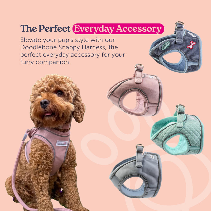 Doodlebone - Dinky Dog Snappy Harness - Step In Vest Style Harness for Small Dogs and Puppies, Lightweight Breathable Fit with Reflective Trim, Secure Fastening - Size 1-2 - Blue Cord - PawsPlanet Australia