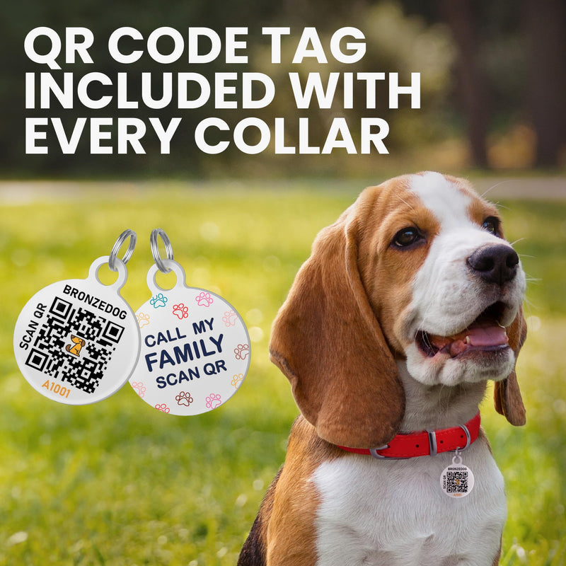 BRONZEDOG Rolled Leather Dog Collar for Small Medium Large Dogs with QR ID Tag (M: 14-16 Inch, Ocean Blue) M: 14 - 16 Inch