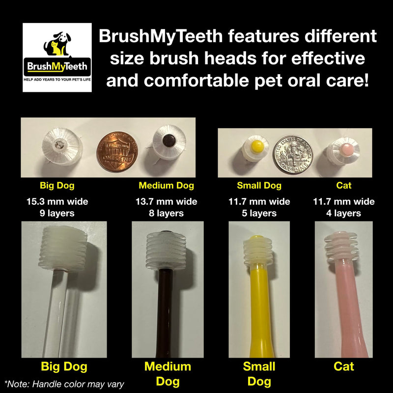 Brush My Teeth Small Dog Toothbrush, Rounded Brush Head -Soft Flexible Bristles, Safe and Gentle Brushing for Small Dogs, Small Breeds and Puppy, Daily Brushing Adds Years of Healthy Life, Multicolor 1 Count (Pack of 1)