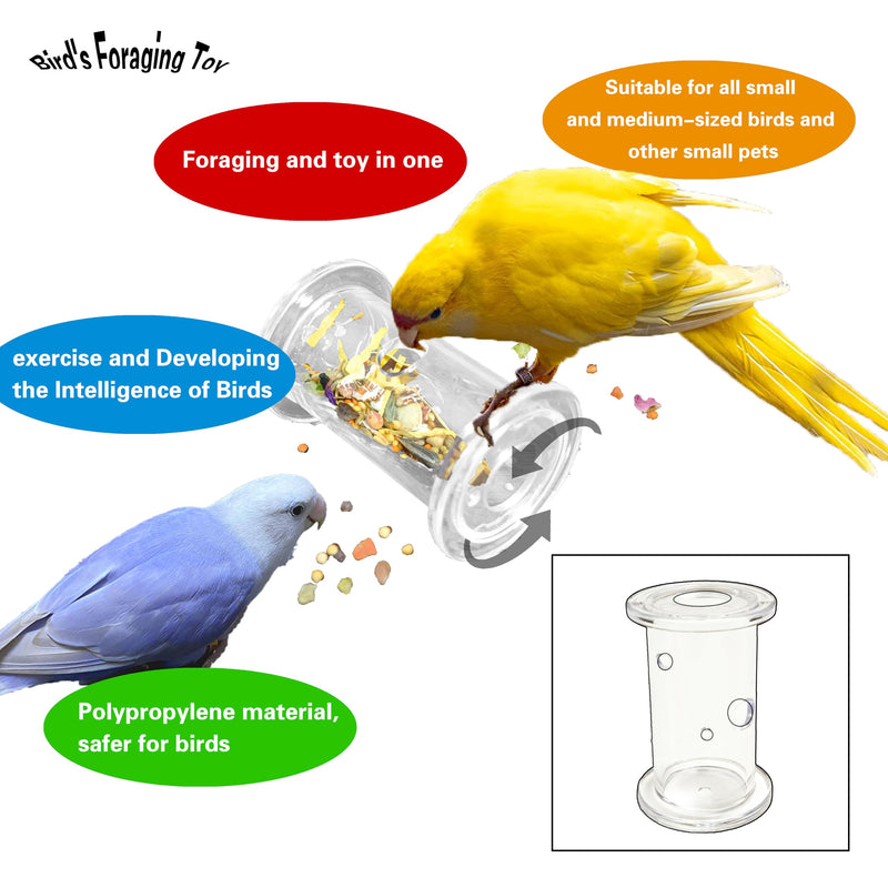 Bird Foraging Toys,Parrot Training Toys,Parrot Interactive Toys to Increase Feeding Time, Bird Enrichment Toys for Small and Medium Parrots,Cockatiel,Parakeet,Conures,Budgie,(Random color for gitfs) - PawsPlanet Australia