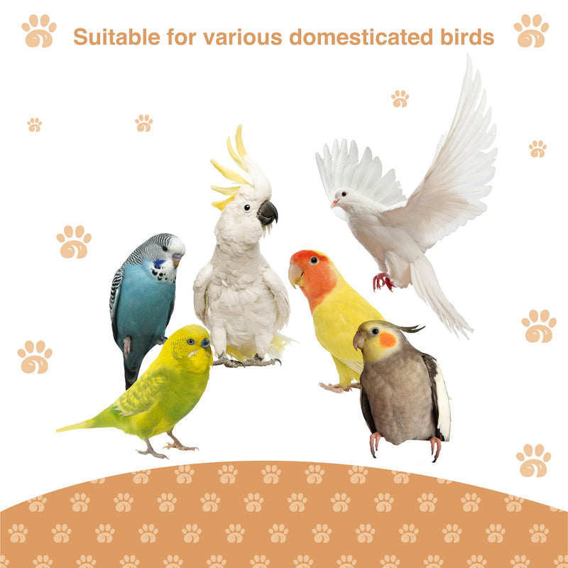 Bird Ladder Perch for Cage - Natural Wooden Bridge, Exercise Stands for Parrot Climbing - Pet Training Ladders - Hanging Playground -Toys for Parakeet, Cockatiel, Conures, Lovebirds, Budgie - PawsPlanet Australia