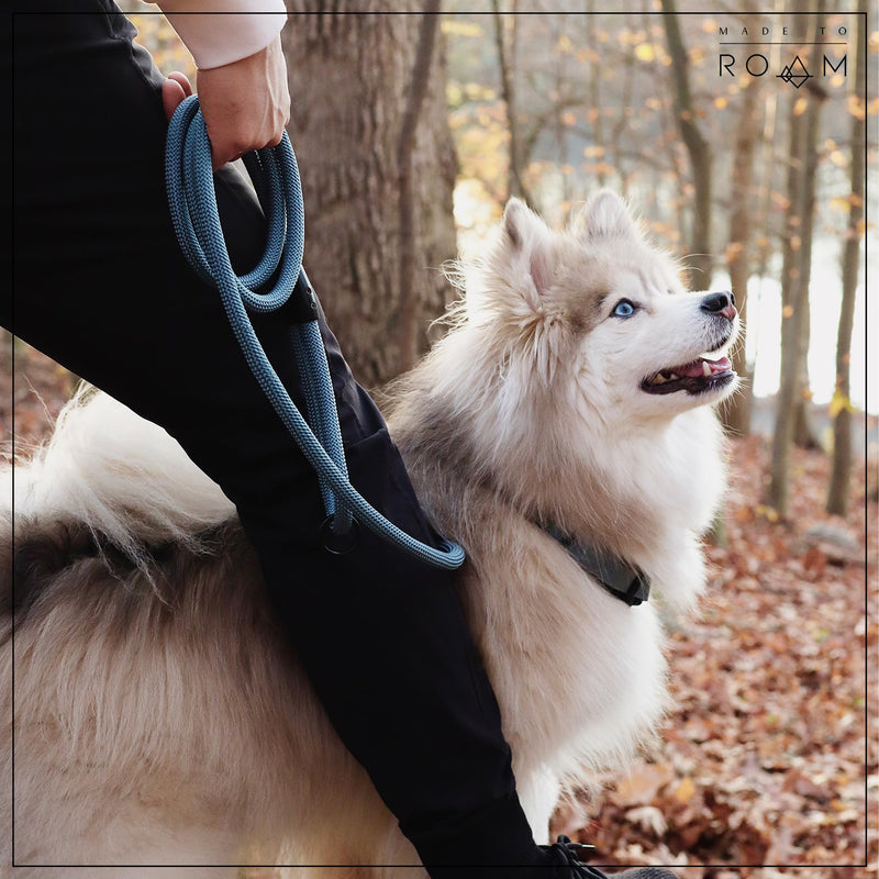 Premium Explorer Leash - Climbing Rope Leash with Autolocking Aviation Aluminum Carabiner - Colorado Nightsky, 6ft 6 Feet - PawsPlanet Australia