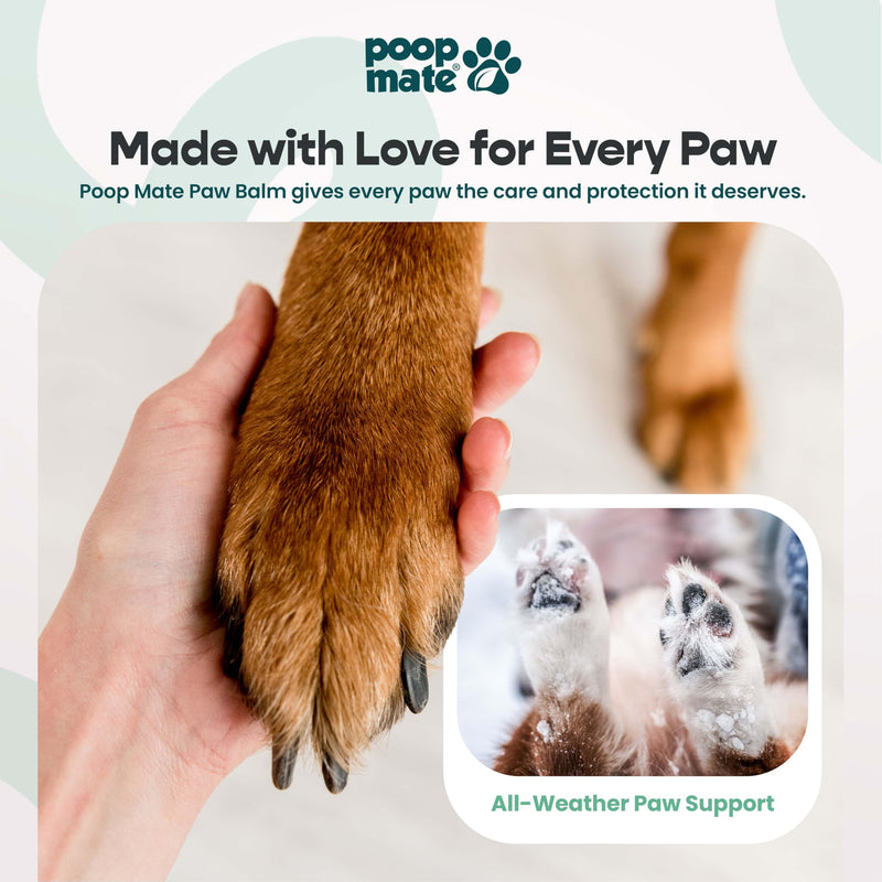 Dog Paw Balm & Nose Balm – Natural, Lick-Safe Paw Care for Dogs – Moisturizing Snout Cream with Coconut Oil, Shea Butter & Vitamin E – Protects Cracked Pads & Dry Noses – 2 oz - PawsPlanet Australia