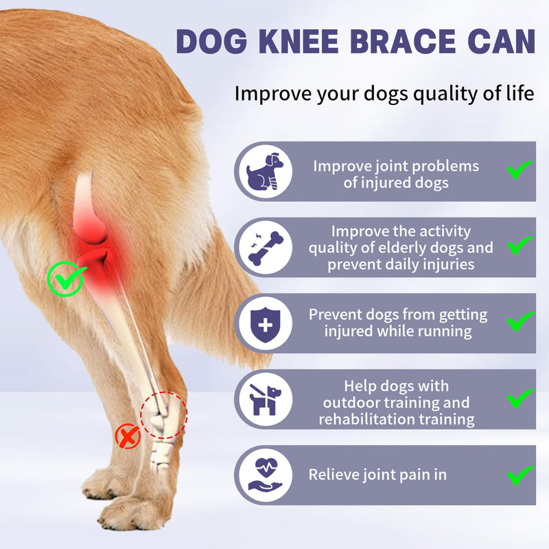 Adjustable Canine Knee Brace for Back Leg with Metal Support Strip,Keeps Joints Stable & Support Dog's Leg,Size L.