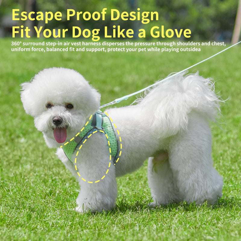 Step in Dog Harness and Leash Set, No Pull Escape Proof Vest Harness with Soft Diamond Mesh and Reflective Bands, Adjustable Pet Outdoor Harnesses for Medium Size Dogs Sage M - PawsPlanet Australia