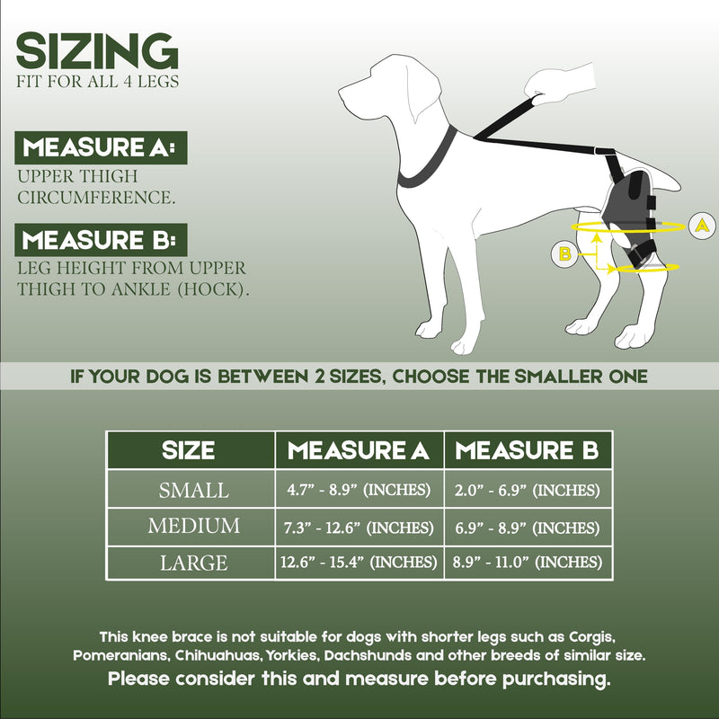 Adjustable Dog Knee Brace for Torn ACL and Luxating Patella - Support for Back Leg, Hip Dysplasia, and Post-Surgery Recovery. Optimal Comfort and Stability for Your Beloved Pet Medium - PawsPlanet Australia