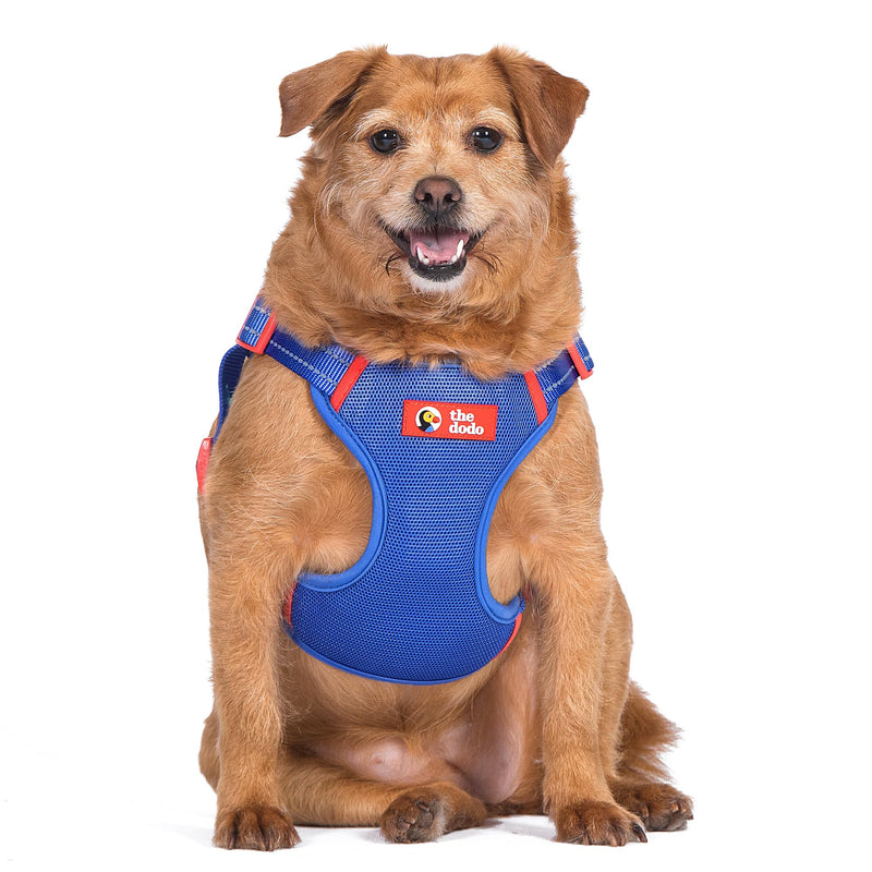 The Dodo Blue Dog Harness - Extra Large; Easy Step-in Harness for Dogs; Breathable Mesh Fabric; Snap-Together, Pinch Release Buckle, Ring for Leash Attachment; Everyday Pet Apparel X-Large - PawsPlanet Australia