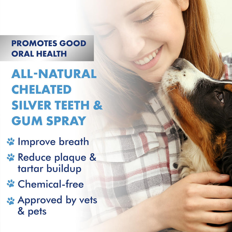 PetSilver Teeth & Gum Spray, Patented Chelated Silver, Natural Dog Breath Freshener, Cat and Dog Dental Cleaning without Brushing, Targets Tartar and Plaque, Dog Dental Spray, Made in USA, 4 oz. 1 Count (Pack of 1)