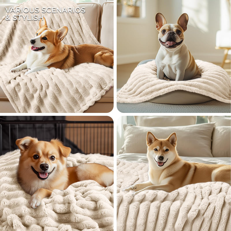 LINENLUX 1 Pack 3 Soft Fleece Dog Blanket for Pet Washable Warm Cat Puppy Fluffy Calming Flannel Beige Medium 30x20 inches (pack of 3) - PawsPlanet Australia