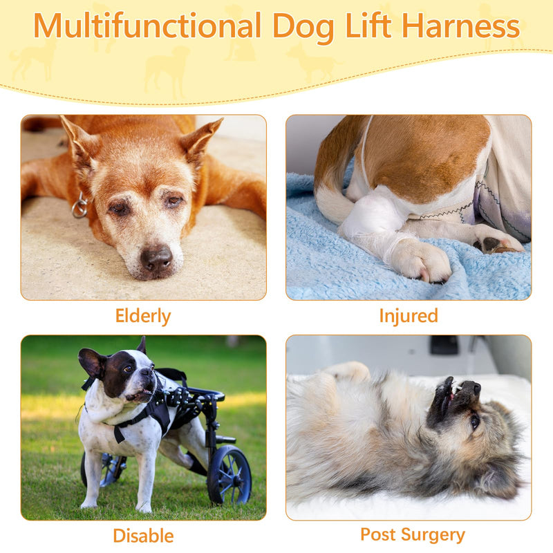 Dog Lift Harness Dog Sling for Large Dogs, Portable Dog Carrier Sling for Back Legs, Ajustable Hip Support Harness for Weak Rear Leg, Assist Senior Disabled Joint Injuried and After ACL Medium Blue - PawsPlanet Australia