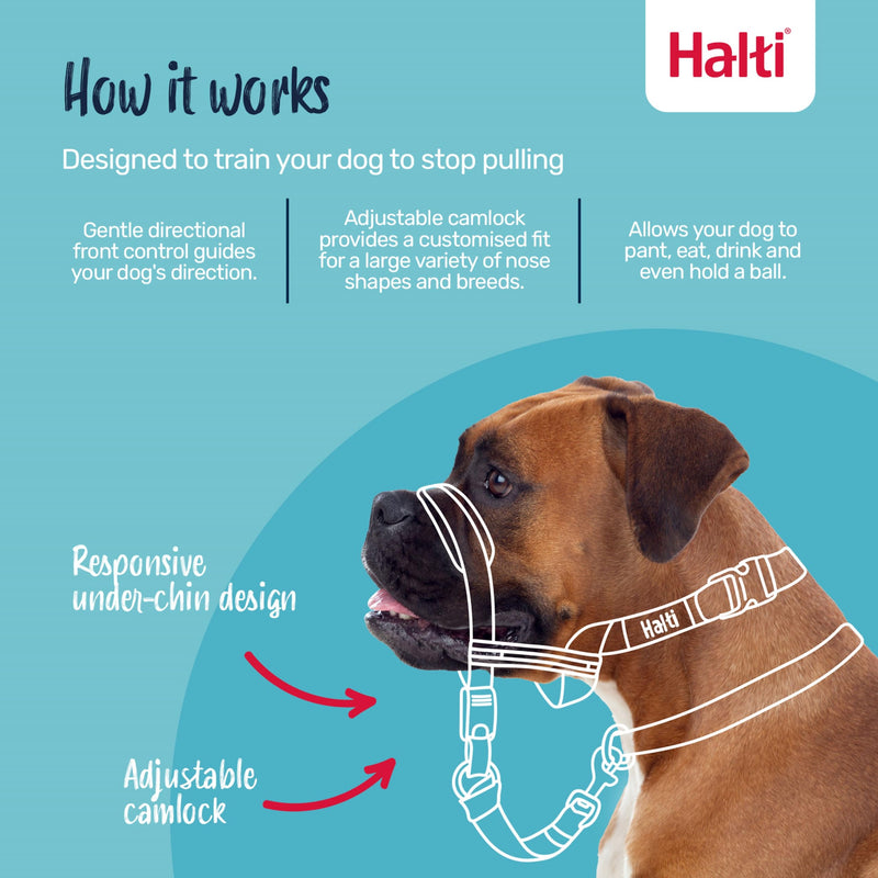 HALTI Optifit Headcollar - To Stop Your Dog Pulling on the Leash. Adjustable, Reflective and Lightweight, with Padded Nose Band. Dog Training Anti-Pull Collar for Large Dogs (Size Large) - PawsPlanet Australia