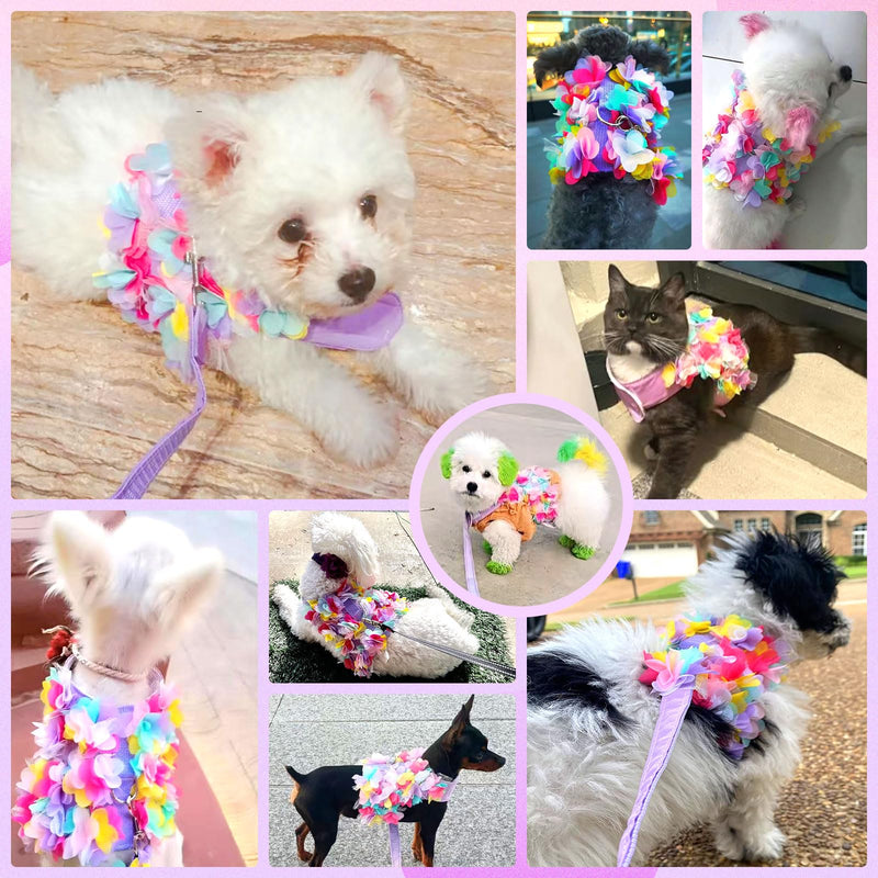Cute Small Dog Harness and Leash Set Purple Lace Floral Girl Puppy Harness for Small Dogs Cats Soft Mesh Dog Vest Harness Escape Proof Pet Cat Harness Outfits XS (Fit 1-3 lbs; Chest 9.5-11") - PawsPlanet Australia