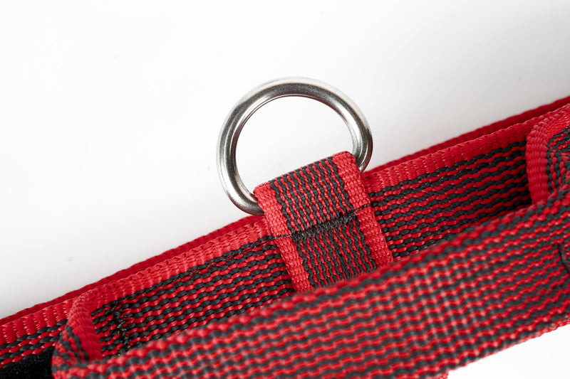 Julius-K9 Color and Gray Collar with Handle and Interchangeable Patch, 50 mm (49-70 cm), Red-Gray - PawsPlanet Australia