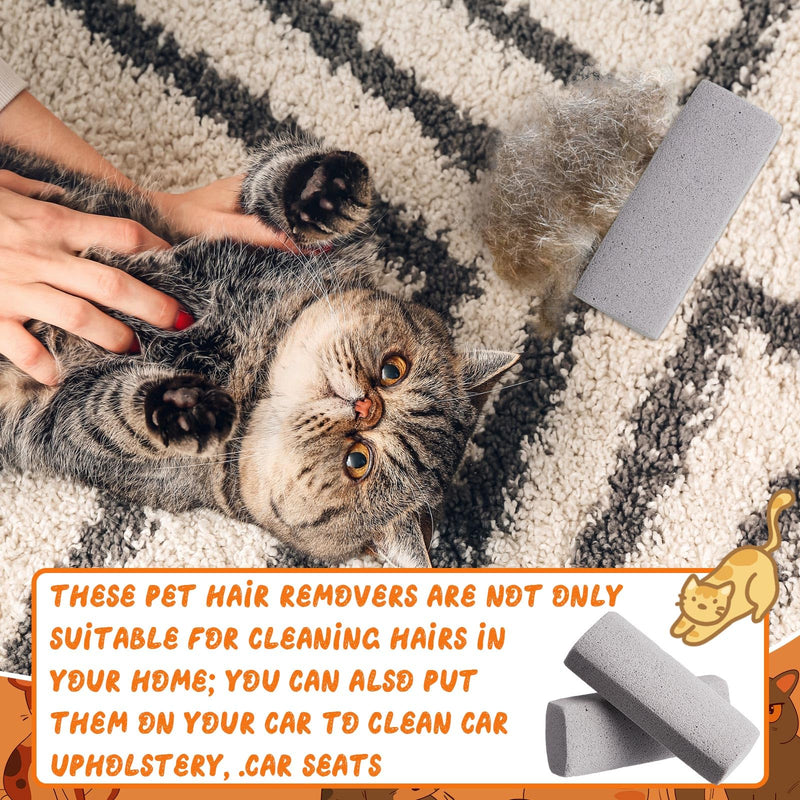 Abbylike 6 Pcs Pet Hair Remover Gray Pumice Stone Car Pet Hair Removal Tool for Bedding Carpet Couch Furniture Cleaning(5.3 x 2 x 1.4 Inch) 5.3 x 2 x 1.4 - PawsPlanet Australia
