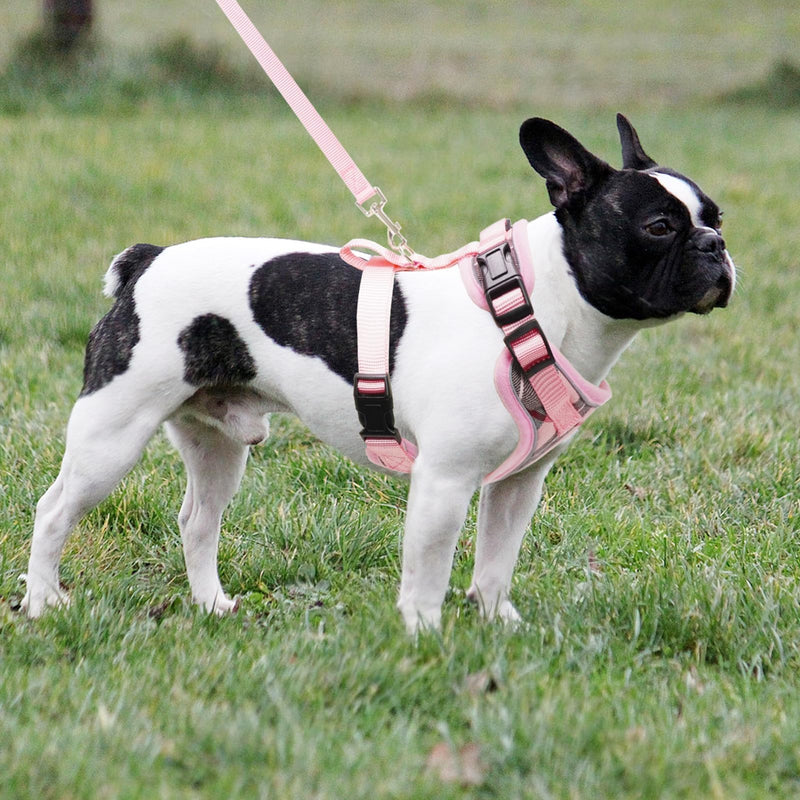 PUPTECK Soft Mesh Dog Harness and Leash Set Pet Puppy Cat Adjustable Reflective Padded Vest No Pull Harnesses, Pink, XS XS (NECK: 11-13", CHEST: 11-15") - PawsPlanet Australia