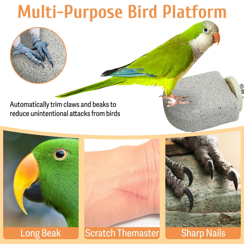 PINVNBY 4 PCS Bird Perch Stands Parrot Calcium Perch Beak Grinding Stone Foot Claws Trimmer Parakeet Platform Parrot Chewing Toys for Small Medium Cockatiel Conure Lovebird Finch M, 4 pcs - PawsPlanet Australia