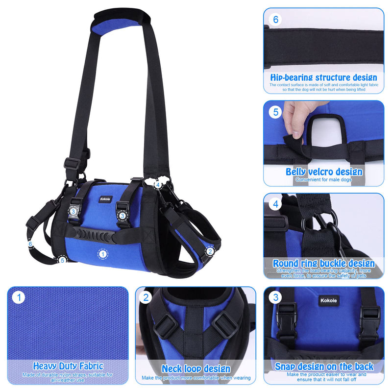 Dog Carry Sling, Emergency Backpack Pet Legs Support & Rehabilitation Dog Lift Harness for Large Dogs, Dog Carrier for Senior Dogs Joint Injuries, Arthritis, Up and Down Stairs (Blue, XL) Blue - PawsPlanet Australia