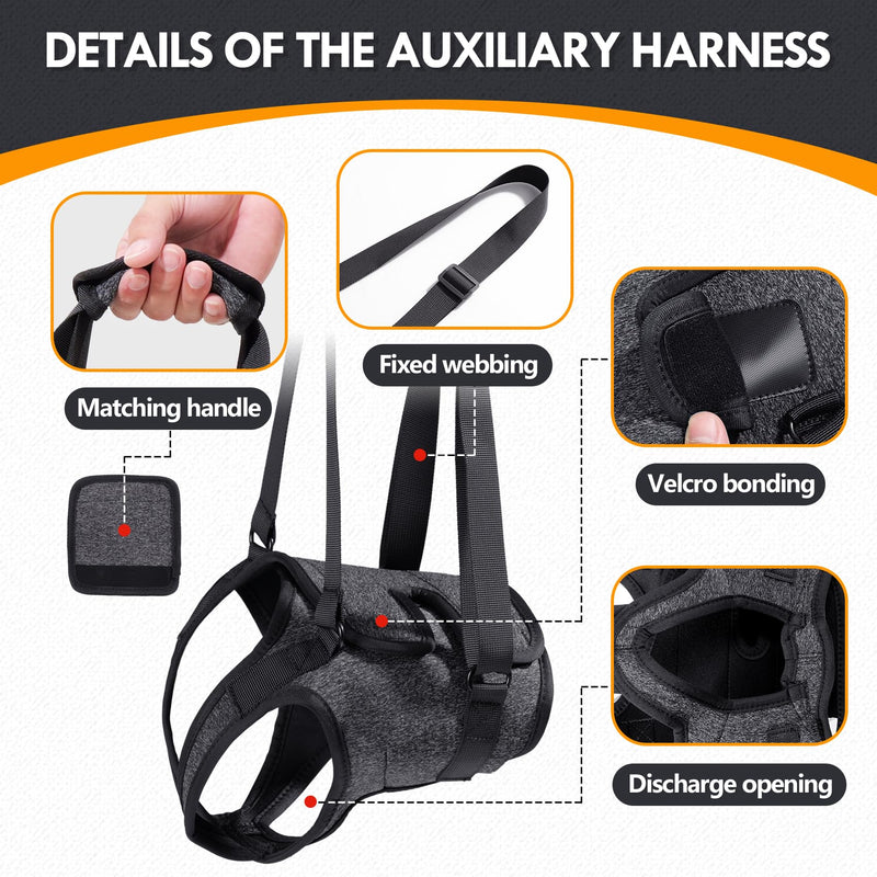 Adjustable Dog Lifting Harness for Back Legs | Support Sling & Hind Leg Brace for Injured, Disabled, Elderly Dogs | Small/Medium/Large Sizes with Lift Handle & Padded Straps (M) M