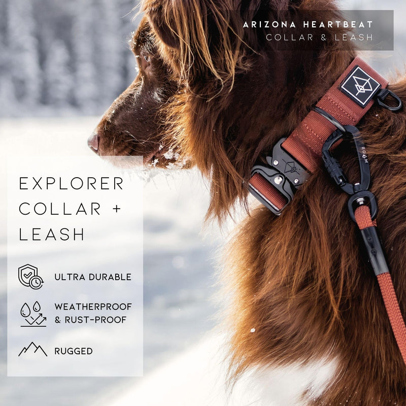 Made to ROAM Premium Dog Collar - Adjustable Heavy Duty Nylon Collar with Quick-Release Metal Buckle (California Horizon, Classic Size 5) California Horizon Classic 5