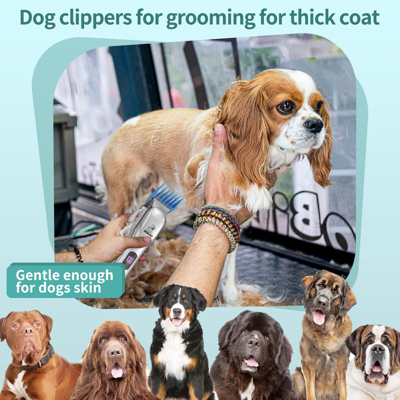 Dog Clippers for Grooming, Cordless,Low Noise, Electric Quiet,Rechargeable, Pet Hair Clippers for Thick Coats, Dog Trimmer Grooming Kit, Shaver for Small and Large Dogs Cats,Silver Silvery - PawsPlanet Australia