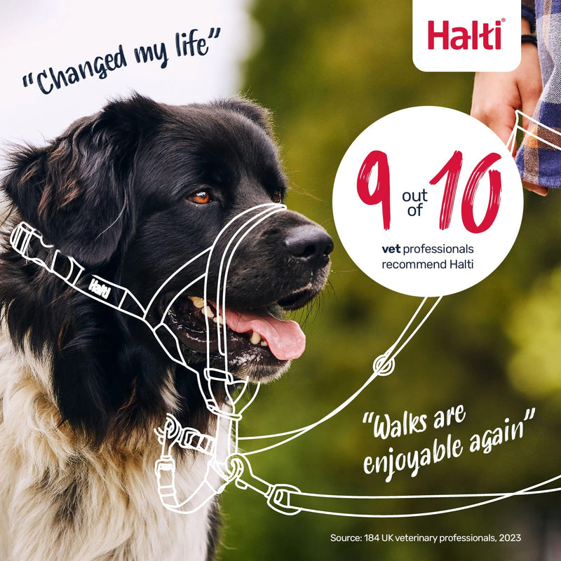 Halti Headcollar - Stop Your Dog Pulling on the Leash. Adjustable, Reflective and Lightweight, with Padded Nose Band. Dog Training Anti-Pull Collar for Medium Dogs (Size 3, Red)