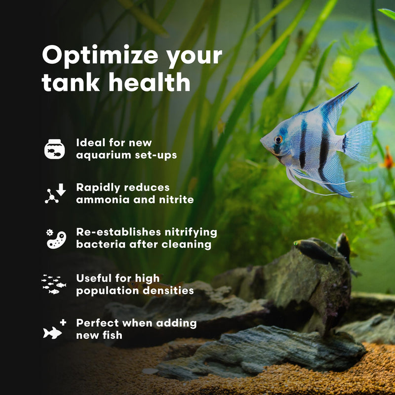 Brightwell Aquatics MicroBacter Start XLF - Concentrated Freshwater Nitrifying Bacteria - Quick Start Fish Tank Starter, Lift Microbe Levels & Water Filtering - Aquarium Water Treatments, 16.9 fl oz 500-ml - PawsPlanet Australia