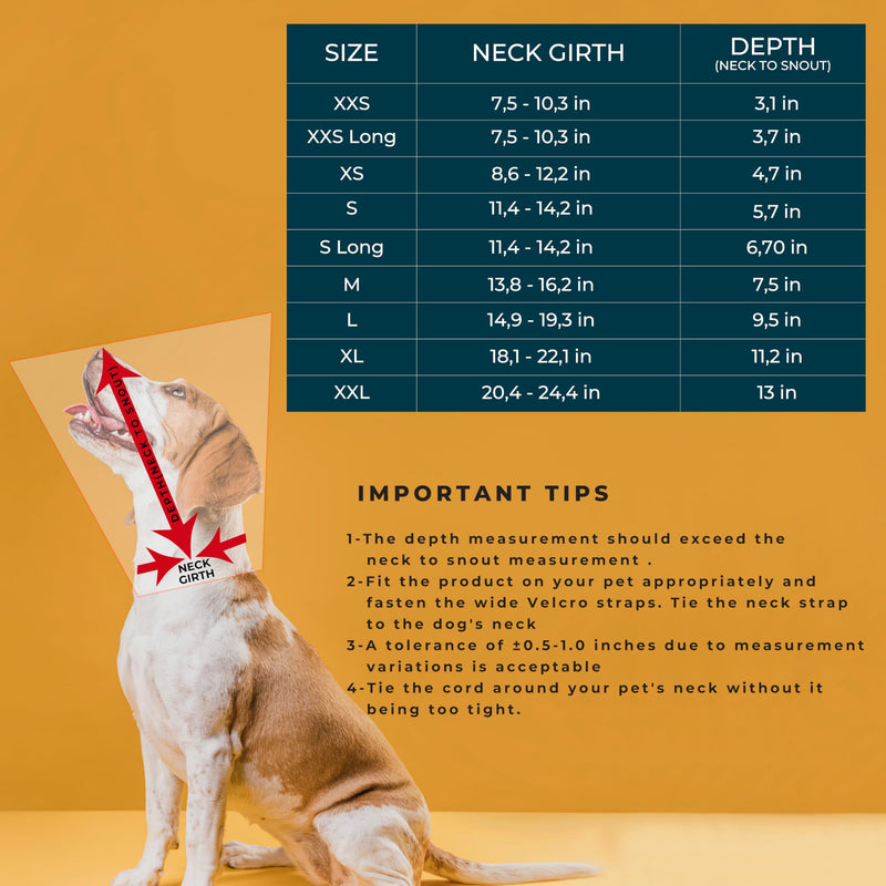 Dog Cone Collar Adjustable After Surgery, Protective Soft Dog and Cat Cone, Elizabethan Collar for Dogs and Cats, Comfortable Dog Cone, Adjustable Cat Cone (Black, XXL [Neck Girth: 20.4"-24.4"]) Black XXL [Neck Girth: 20.4"-24.4"] - PawsPlanet Australia