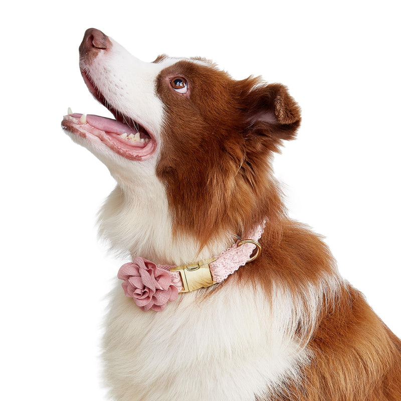 Pink Dog Collar Cotton Lace Handmade Embroidered Adjustable Dog Collar and Leash Set for Large Dogs with Rose Gold Metal Buckle & Fashion Flowers for Girl Dog Wedding Collar (Pink,S) Pink Small - PawsPlanet Australia