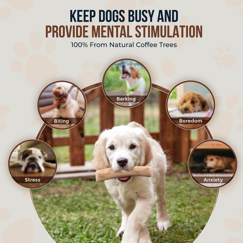 Coffee Wood Dog Chew Sticks 6.5" & Dog Rope Toys for Puppy - 100% Natural Puppy Chew Toys for Teething, Organic Wood Stick Helps with Stress Relief Extra Small - PawsPlanet Australia