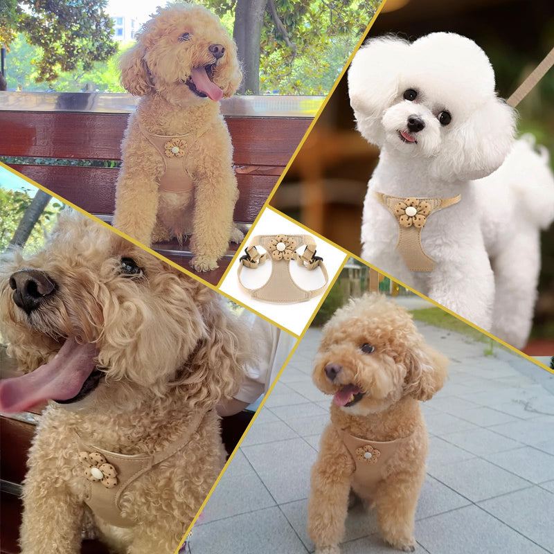 Flower Dog Harness with Leash Set, Cute Soft Puppy Harness for Small Girl Boy Dogs, No Pull No Choke Escape Proof Pet Harnesses, Brown S - PawsPlanet Australia