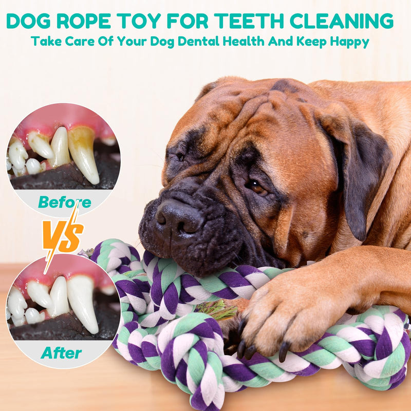 Dog Rope Toys for Large Dogs - 42In 6 Knots Indestructible Dog Rope Toy, Dog Toys for Aggressive Chewers, Heavy Duty Dog Chew Toys, Tug of War Rope Toy, Tough Dog Rope Toys for Medium Large Breeds Blue-Rope Toy - PawsPlanet Australia