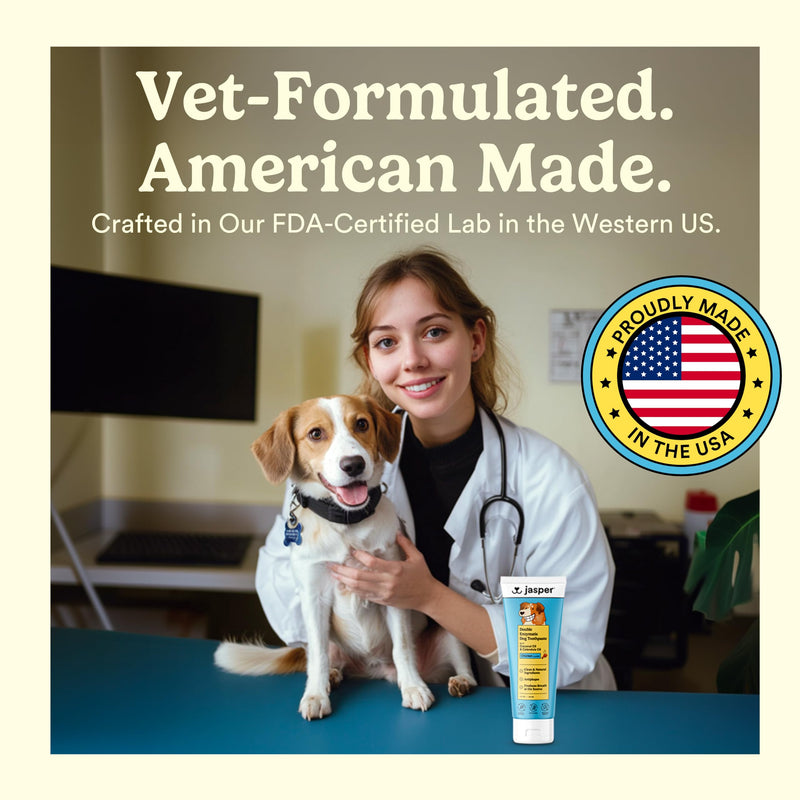 Jasper Dog Tooth Brushing Kit and Dog Toothpaste Kit 360 Dog Toothbrush Enzymatic Plaque Remover Imporves Bad Breath Natural Pet Toothpaste Dog Toothbrush and Toothpaste 2 oz Chicken Flavor Chicken Kit