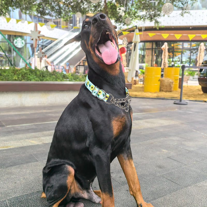 Martingale Dog Collar with Chain, No Pull Slip Cinch Choker Choke Collar Heavy Duty Dog Collar for Medium Large Extra Large Pet Dogs,Sunflower M 10 M(Neck15-20") - PawsPlanet Australia