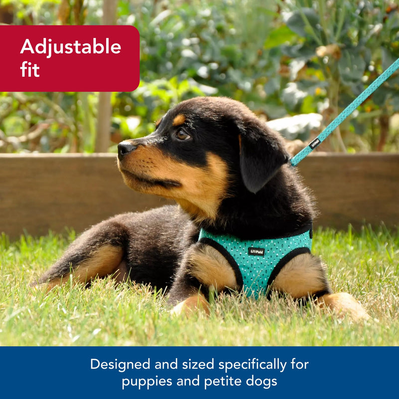 Coastal - Li'l Pals Canvas Dog Harness - Teal and Grey Diamonds - 3/8" x 10"-12" - PawsPlanet Australia
