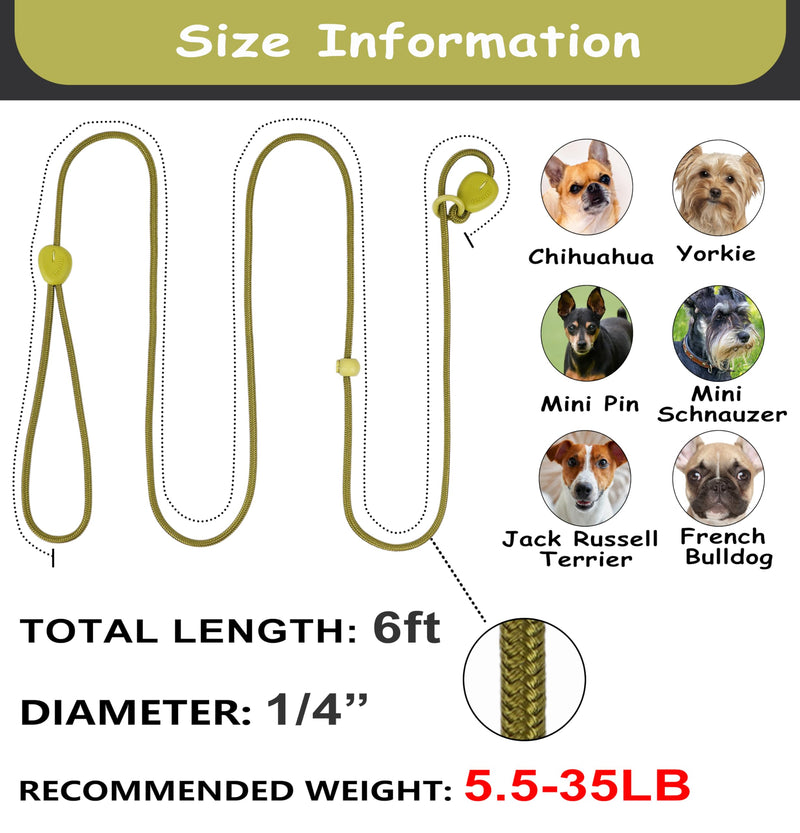 Green 6FT Heavy Duty Dog Training Leash - Comfortable Rope, No Pull, Suitable for Small to Medium Dogs Green - PawsPlanet Australia