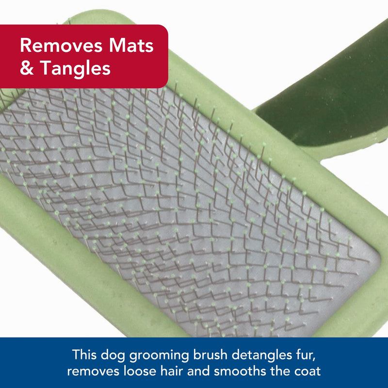 Coastal Pet Safari Dog Soft Slicker Brush - Dog Grooming Brush for Shedding - for Dogs with Short, Medium and Long Hair - Small - 6.5" x 2.5" No Color - PawsPlanet Australia