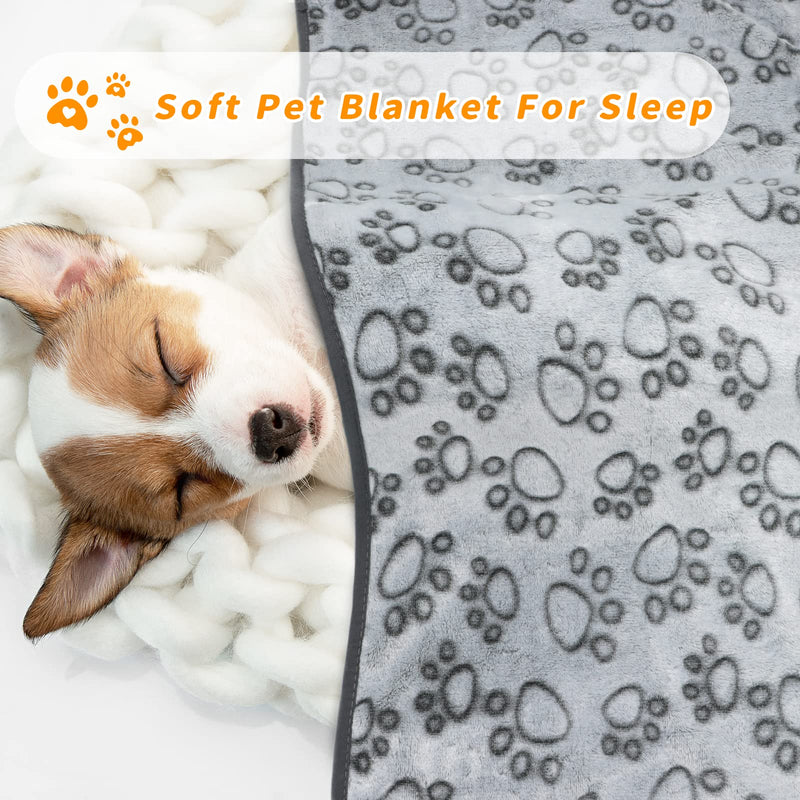 Fleece Dog Blanket for Medium Large Dogs - Washable, Cute Paw Print Pet Puppy Cat Blanket Gray(pack of 3) 32x40Inch - PawsPlanet Australia